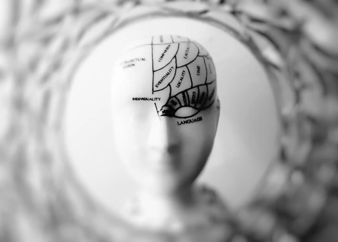 Czy metoda One Brain naprawdę działa? Poznajemy fakty i opinie