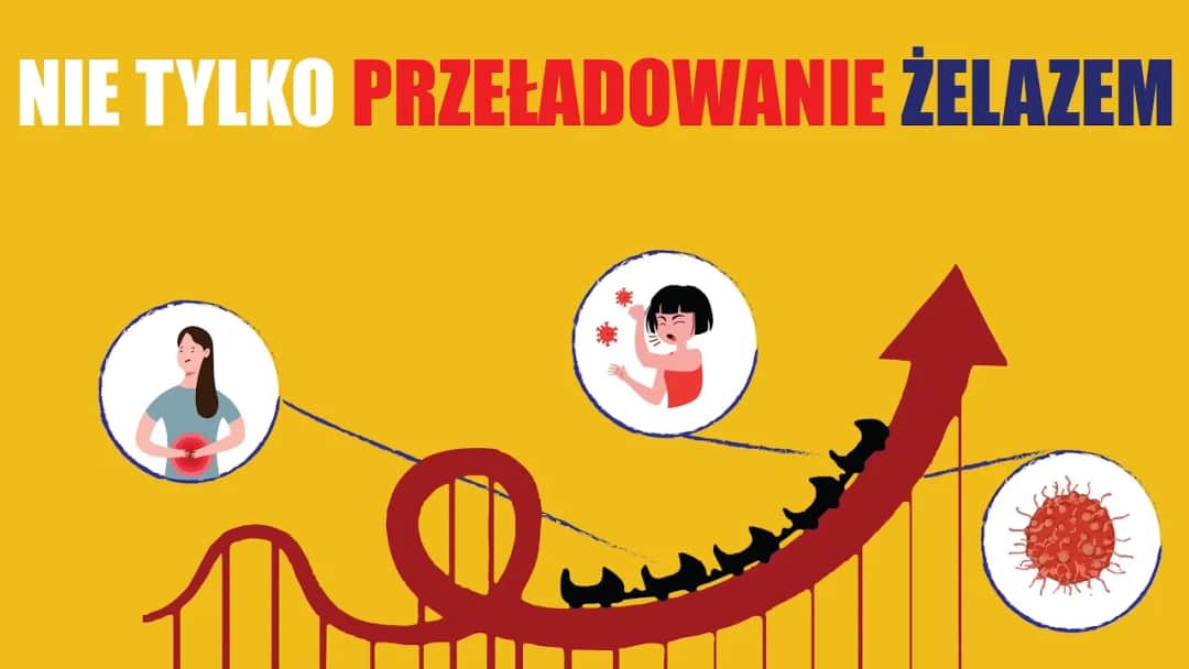 Podwyższona ferrytyna? Zaskakujące przyczyny, o których nie wiesz
