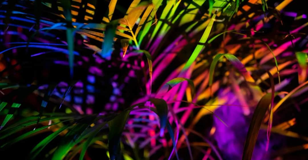 Muzyka filmowa: Jak kształtuje nasze emocje po seansie?